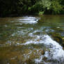 Sunny day - River Gradac V