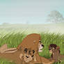 zira and family