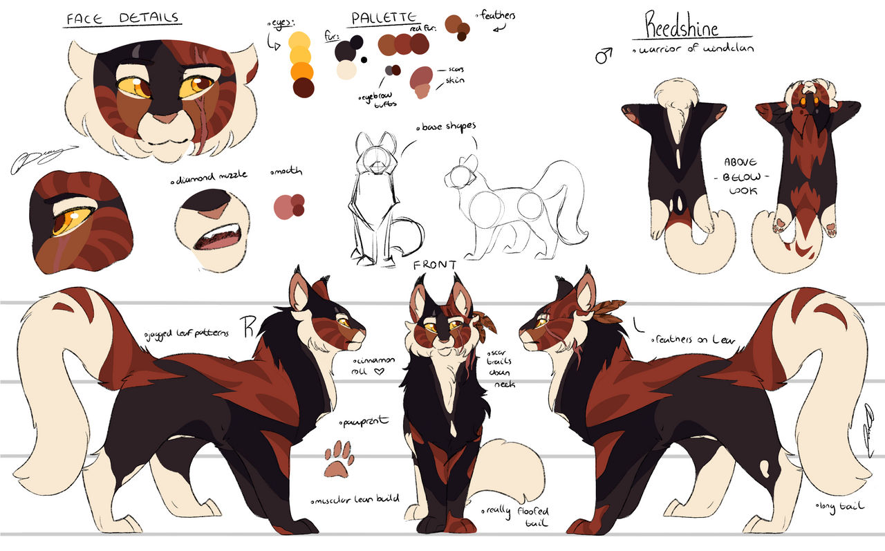 Reedshine reference 2023