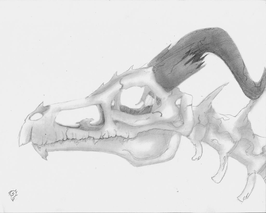 Dragon Skull2