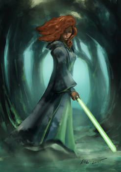 princess merida, jedi master