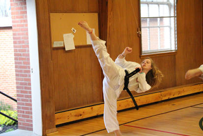 Taekwondo High Roundhouse