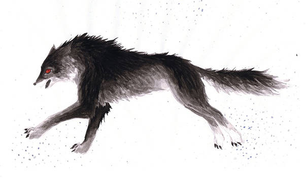 Black Wolf