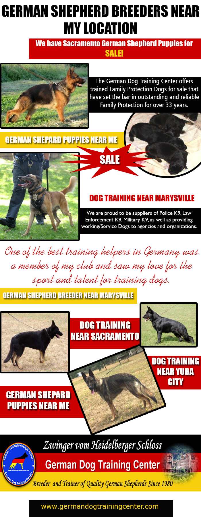 German Shepherd Breeders Near My Location