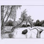 Pond Landscape (Scan)