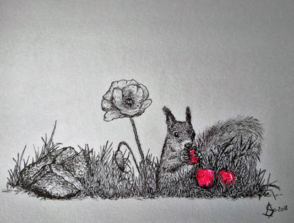 Squirrel, poppy and apples