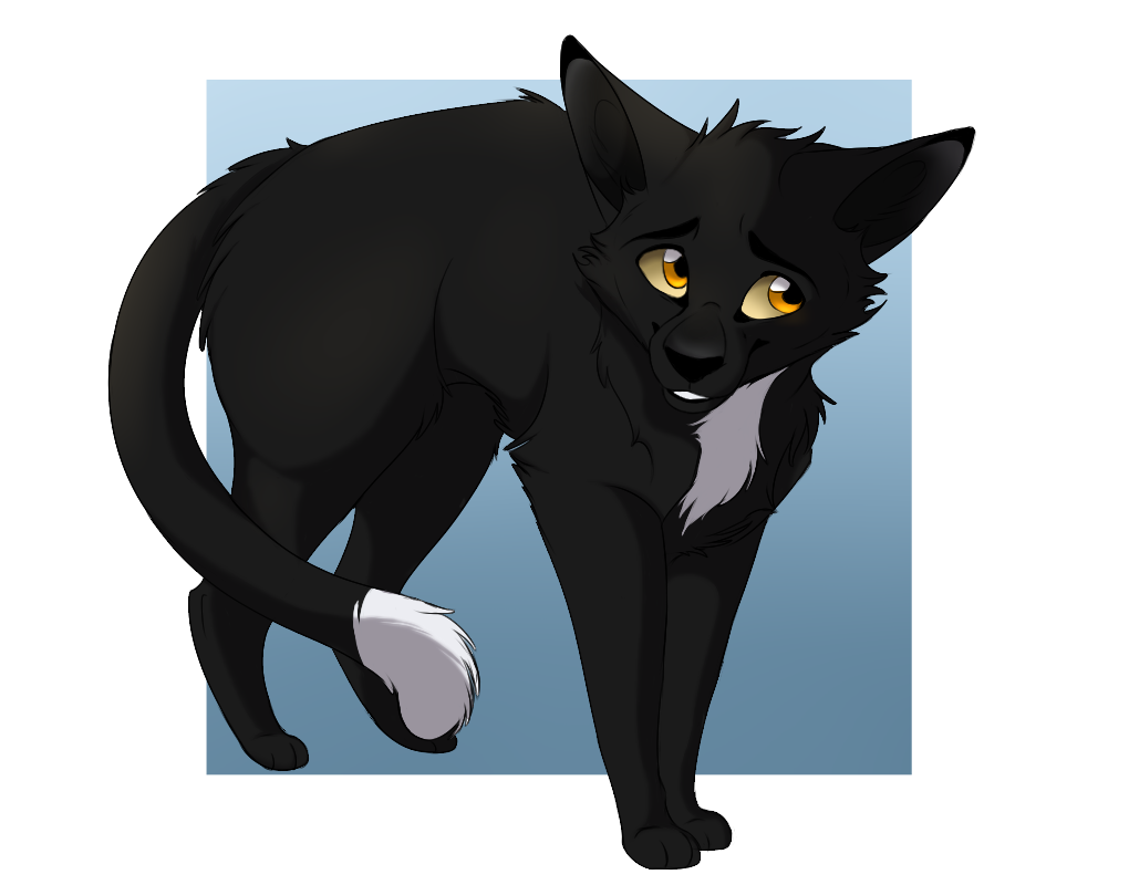 Warriors: Ravenpaw by Nightryx on DeviantArt