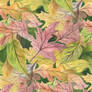 Leaves, seamless pattern