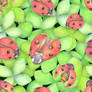 Lady birds pattern