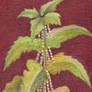 Nettle