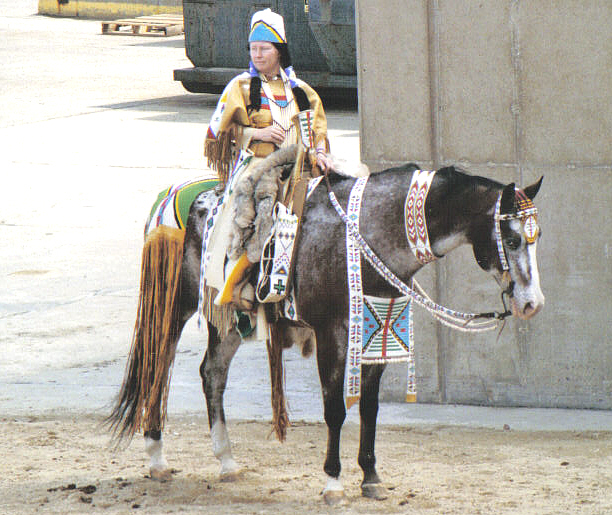 True Appaloosa