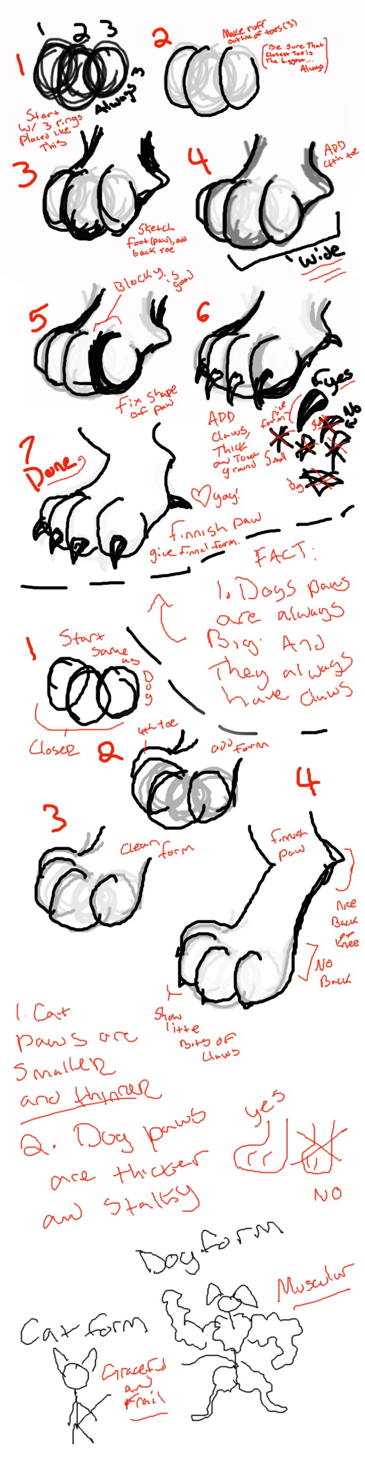 Paw Tutorial