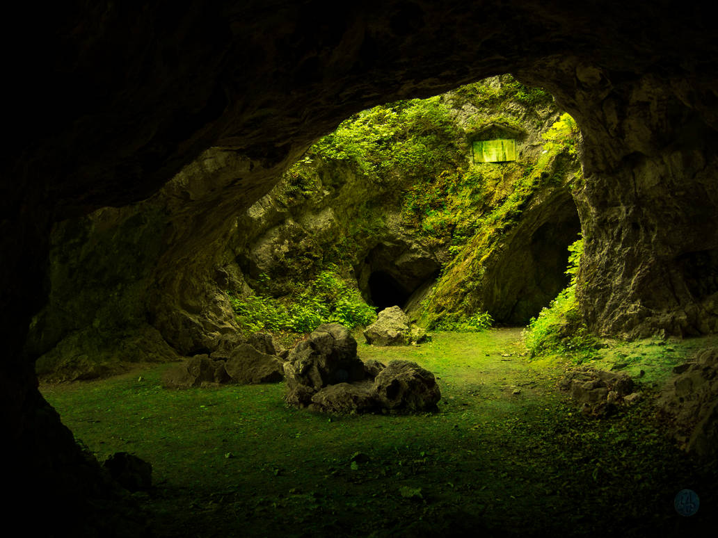 Cave v. Кейв клаб пещера. Пещера Графский грот. Пещера Харрисонс-Кейв. Вилла Берлускони подземный грот.