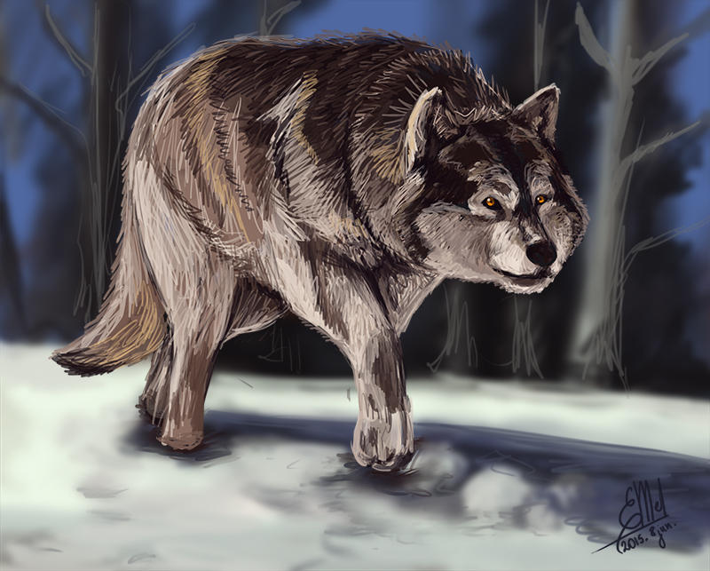Wolf by DreamDragonHatchling on DeviantArt