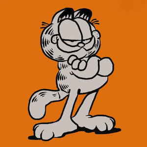 I love Garfield