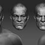 Concepts male heads