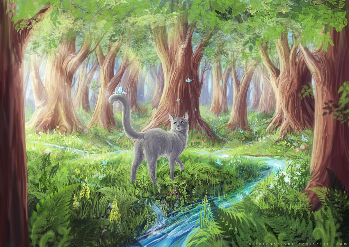 Magical forest I by AlsaresLynx on DeviantArt