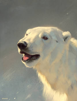 Polar Bear