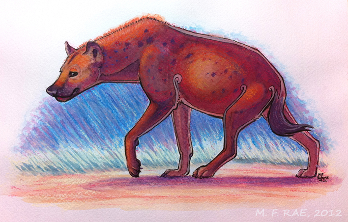 2012: Hyena, Pastel Play