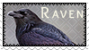 Stamp: Raven