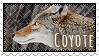 Stamp: Coyote