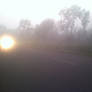 sudden light in mist