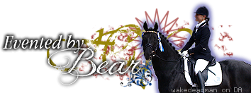 Event bear banner