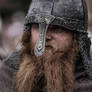 A Viking Chieftain