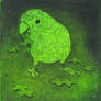 Spicy Parrotlet 2