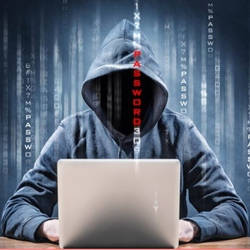 Best Ethical Hacking Services Online