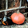 2 Pumpkins