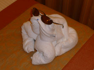 Cool Towel Frog