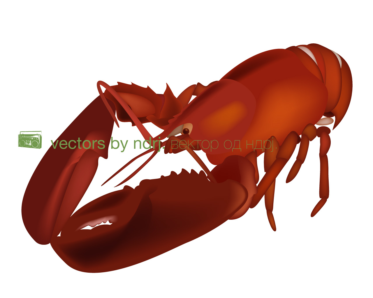 Lobster Vector