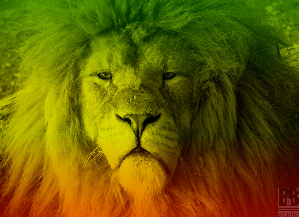 Lion of judah