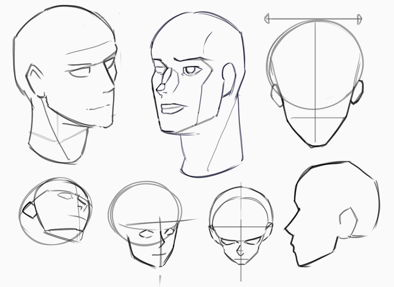 Head Drawigs Daily Drawing - Head Sketches 2 by Quackie101 on DeviantArt