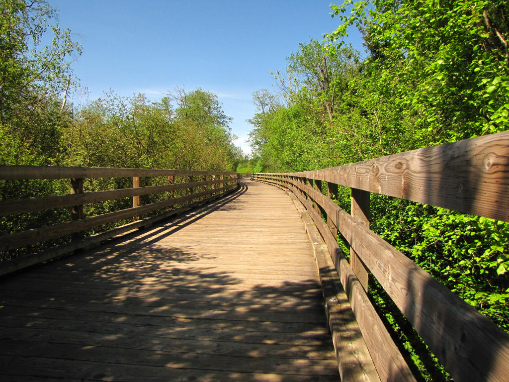 Boardwalk