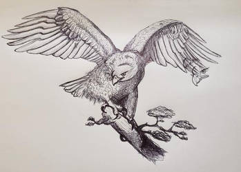 Inked Eagle