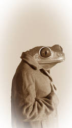 M grenouille