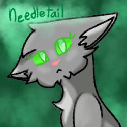 Needletail redraw