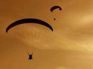 Paragliders