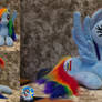 Rainbow Dash