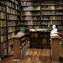 1:6 Scale Bookstore by Regent Miniatures