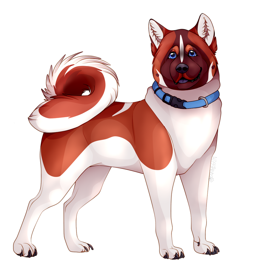 Rascal by Alissa1010 on DeviantArt