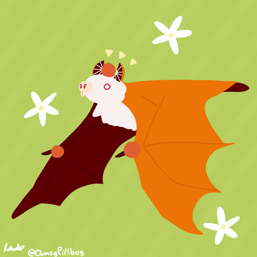Blood Orange Vampire Bat 11-6-2022 (1/4) by ClumsyPillbug on DeviantArt