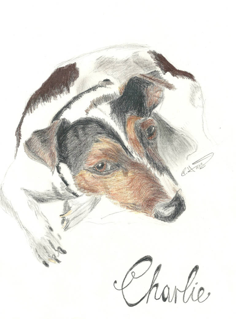 Charlie Ide Charlie by Fantasiescolide on DeviantArt