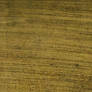 Fabric Texture Gold Brown