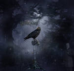 Nevermore the raven