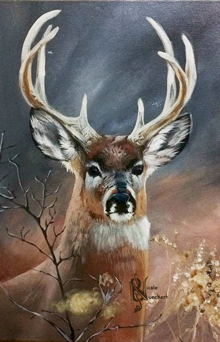 Whitetail Buck by Kuvari on DeviantArt