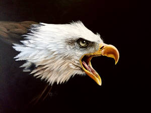 Bald Eagle - Acrylic Painting