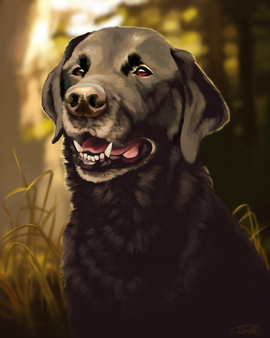 Black Lab Deviantart Black Lab by Kuvari on DeviantArt